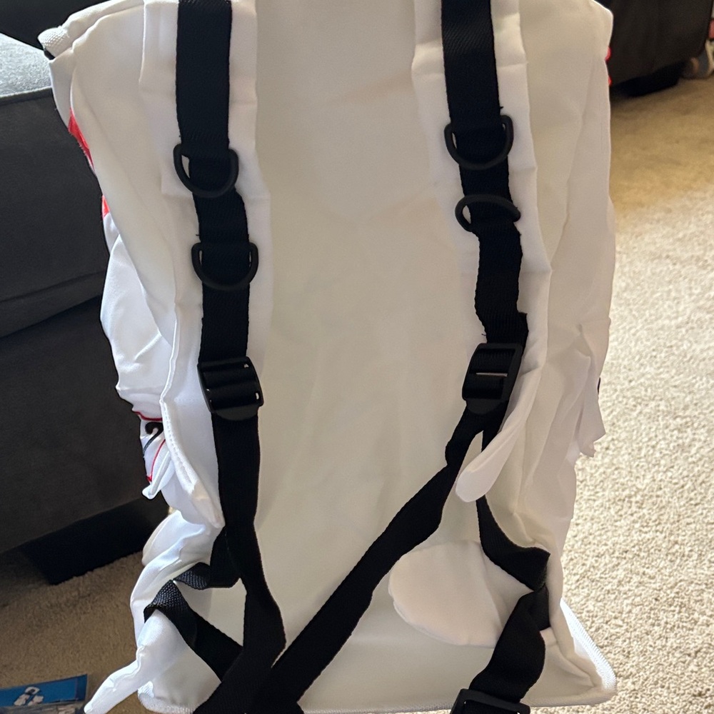 NASA Backpack - Picture 5 of 7